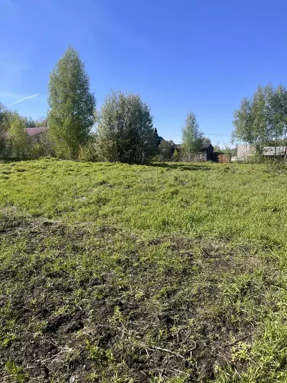 Участок в Новосибирская область, Новосибирский район, Барышевский ... - Фото 2