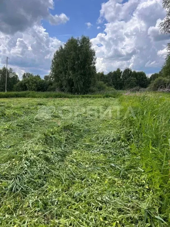 Участок в Тюменская область, Нижнетавдинский район, Виктория ТСН ул. ... - Фото 1