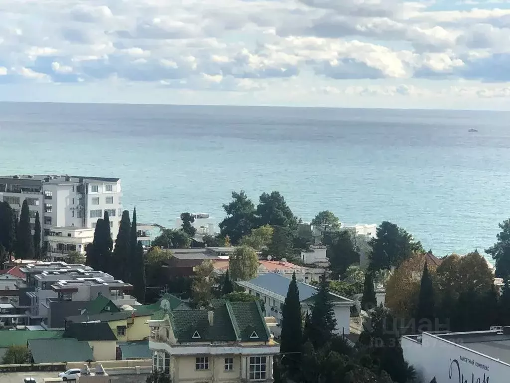 4-к кв. Краснодарский край, Сочи Курортный просп., 75Д (137.0 м) - Фото 0