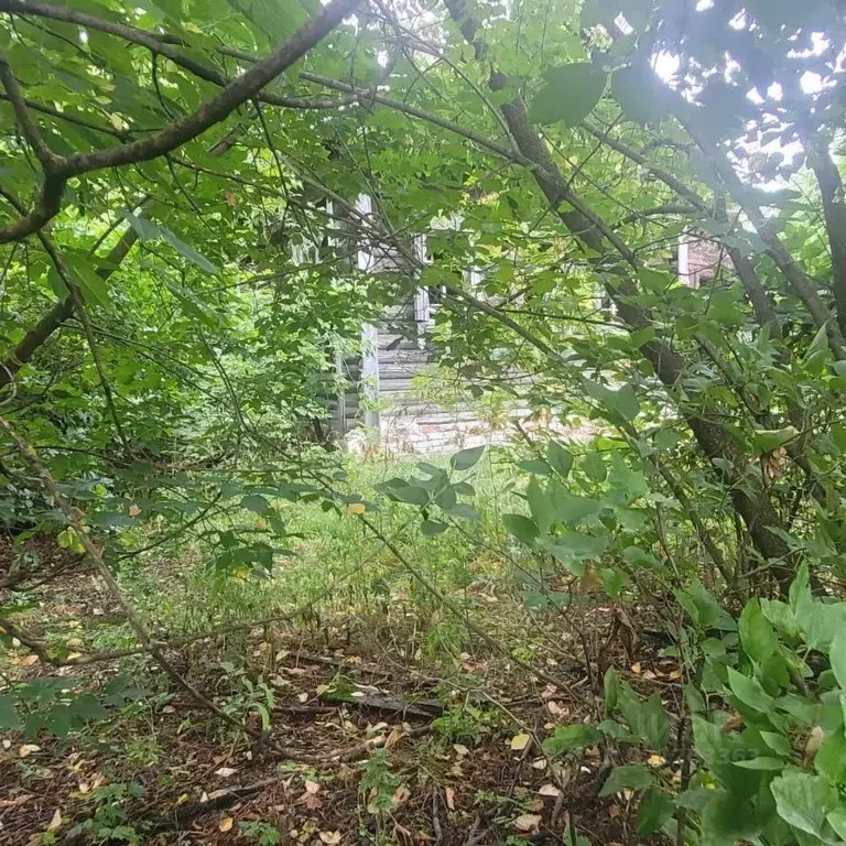 Участок в Владимирская область, Муром д. Нежиловка, ул. Пригородная, ... - Фото 1