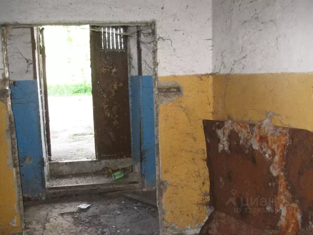 Помещение свободного назначения в Мордовия, Саранск Кирзавода тер., ... - Фото 2