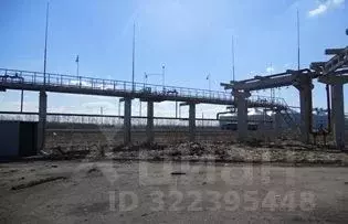Производственное помещение в Тамбовская область, Никифоровский ... - Фото 1