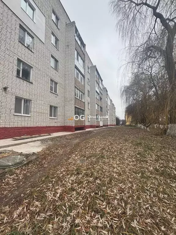 2-к кв. Брянская область, Выгоничский район, Кокинское с/пос, с. ... - Фото 2