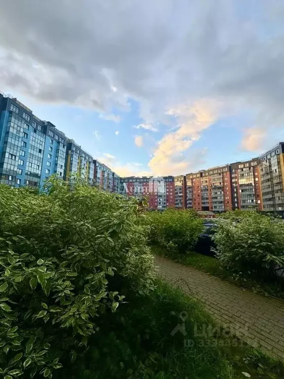 3-к кв. Санкт-Петербург, Санкт-Петербург, Пушкин ул. Архитектора ... - Фото 2