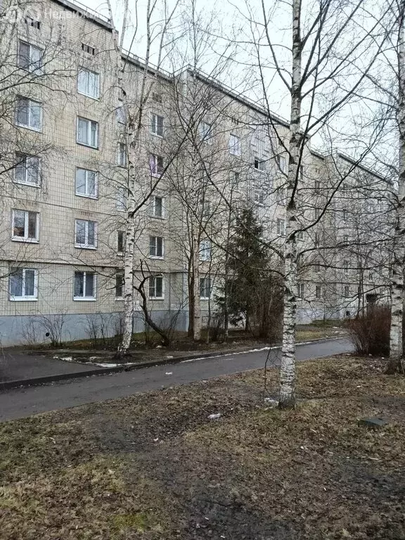 1-комнатная квартира: Коммунар, Ижорская улица, 18 (41.8 м) - Фото 1