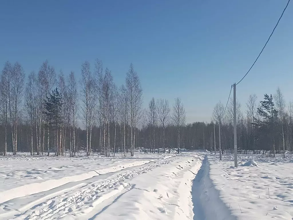 Участок в Новгородская область, Новгородский район, Бронницкое с/пос, ... - Фото 0