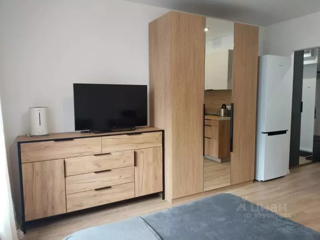 Студия Москва Муравская ул., 38Бк2 (22.0 м) - Фото 2