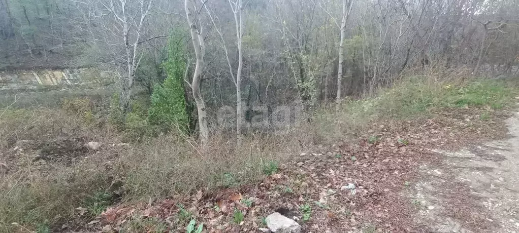 Участок в Краснодарский край, Новороссийск Родничок СНТ, 72 (6.35 ... - Фото 1