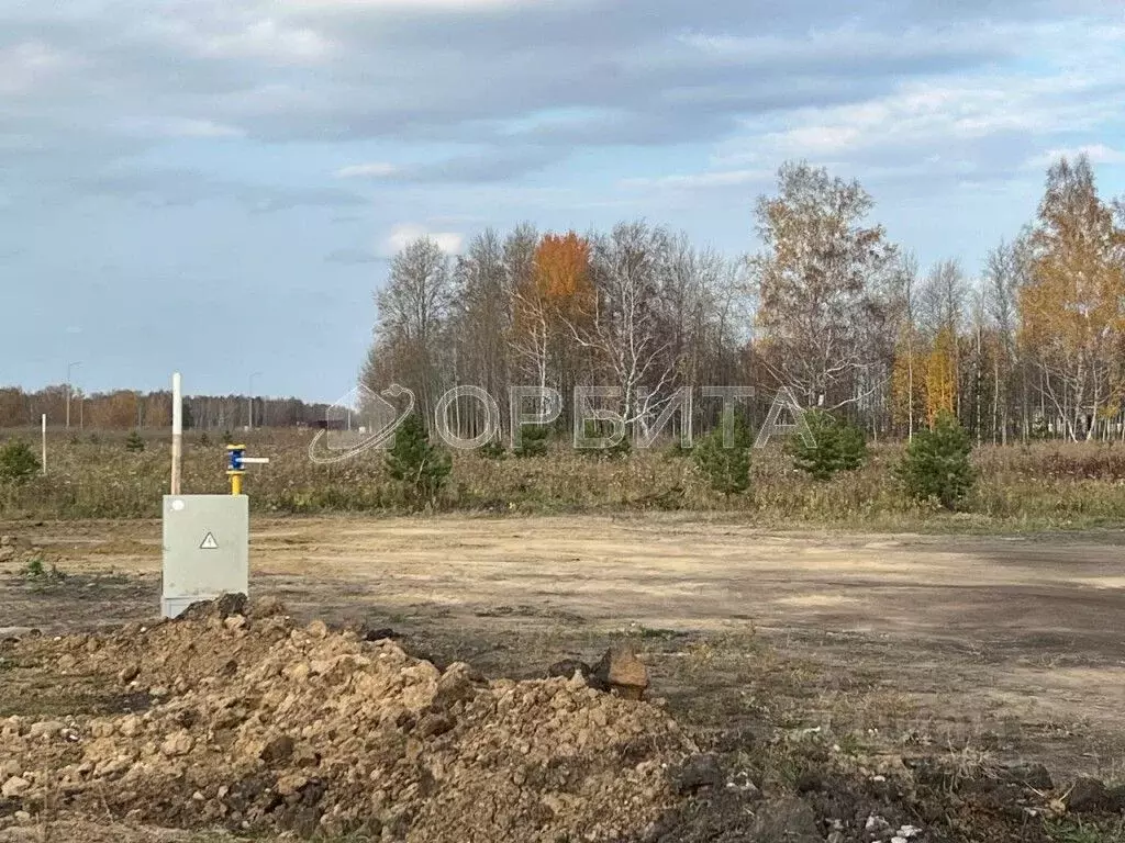 Участок в Тюменская область, Тюменский муниципальный округ, ... - Фото 1