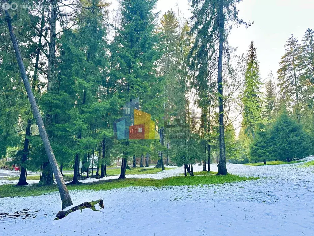 Участок в Одинцовский городской округ, деревня Жуковка (35 м) - Фото 0