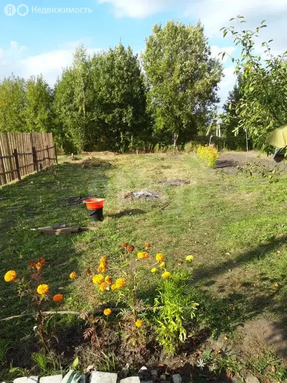 Участок в Добрунское сельское поселение, СДТ Полёт (6.15 м) - Фото 2