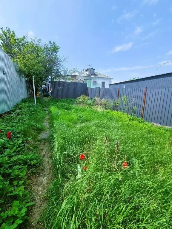 Дом в Краснодарский край, Новороссийск Харьковская ул. (40 м) - Фото 2