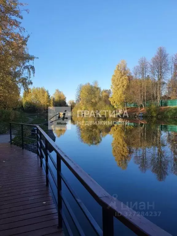 Дом в Московская область, Мытищи городской округ, пос. Вешки, Новый ... - Фото 2
