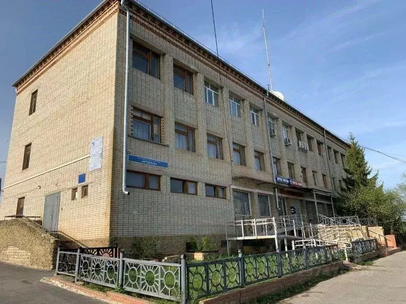 Помещение свободного назначения в Ульяновская область, Николаевка рп ... - Фото 1