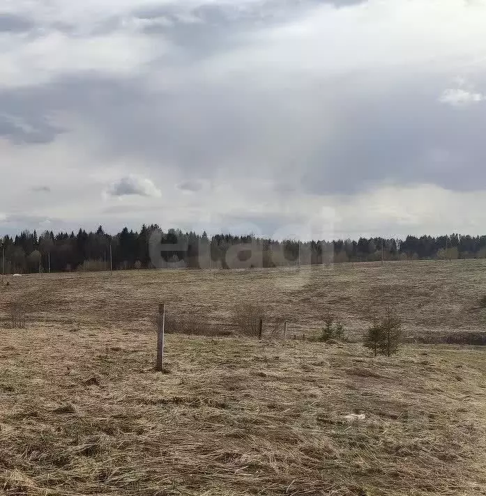 Участок в Вологодская область, пос. Сосновка  (12.0 сот.) - Фото 1