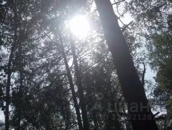 Участок, 25 сот., поселения (ижс) - Фото 1