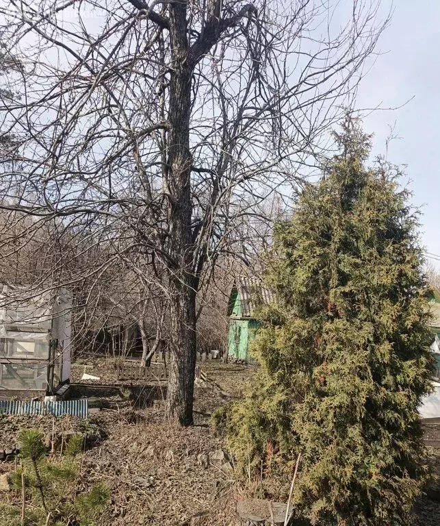 Дом в Челябинск, СНТ Строитель, Западная улица, 167 (18 м) - Фото 2