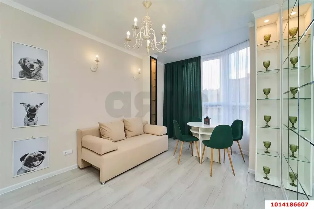 1-к кв. Краснодарский край, Краснодар ул. Конгрессная (45.0 м) - Фото 2