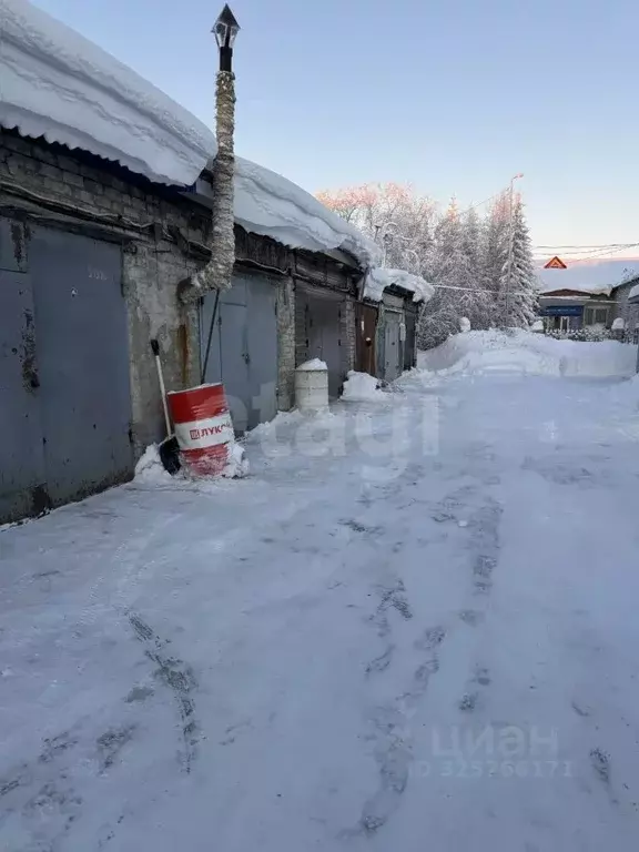 Гараж в Ямало-Ненецкий АО, Салехард Площадка № 22 тер., с1/23 (23 м) - Фото 2