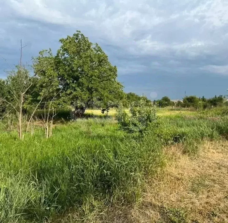 Участок в Ростовская область, Багаевский район, Манычская ст-ца ул. ... - Фото 1