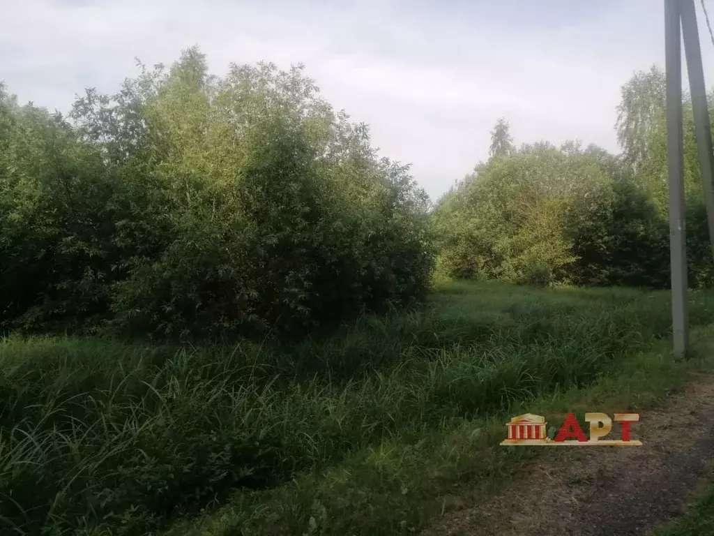 Продается участок в СНТ Космос - Фото 2