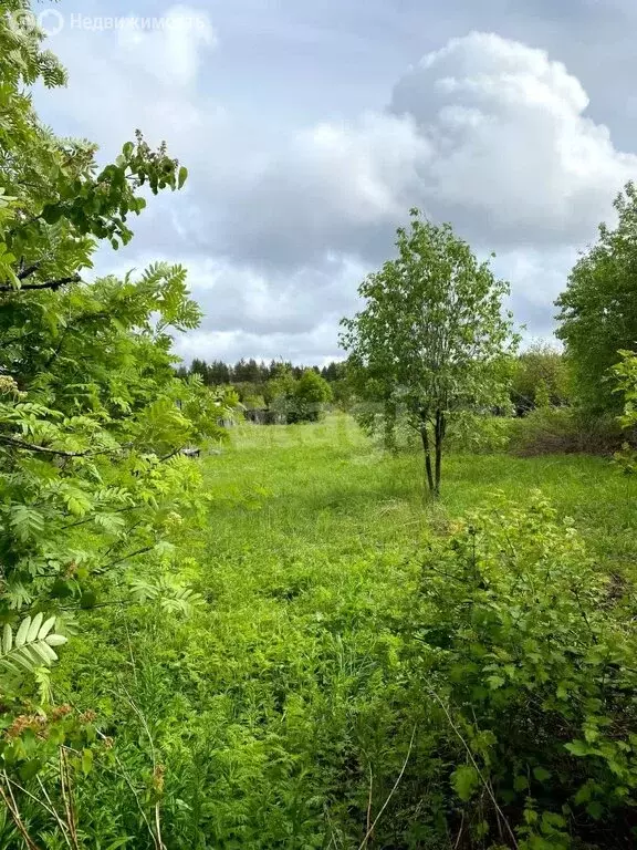 Участок в посёлок Самодед, Комсомольская улица (13.5 м) - Фото 2