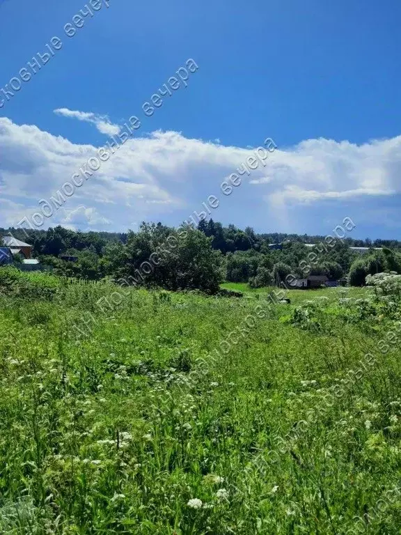 Участок в Московская область, Дмитровский городской округ, д. Дубровки ... - Фото 0