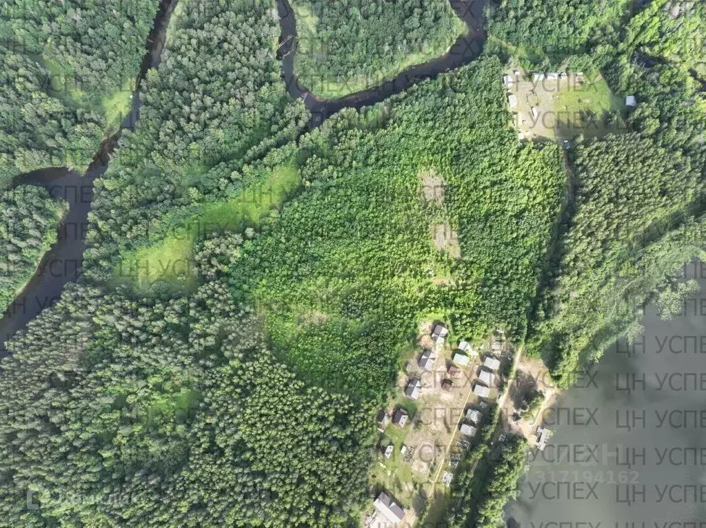 Участок в Нижегородская область, Семеновский городской округ, д. Озеро ... - Фото 1