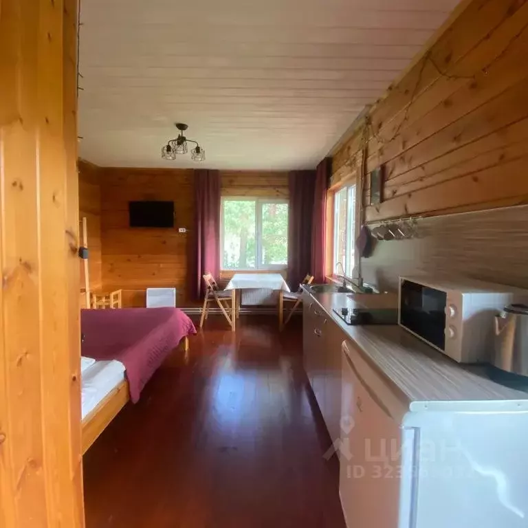 Дом в Алтай, Чемальский район, с. Чемал  (33 м) - Фото 2