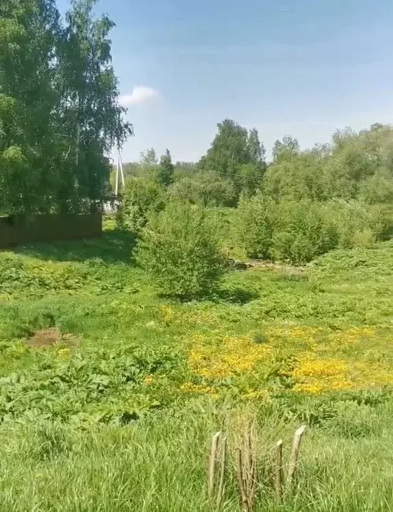 Участок в Московская область, Коломна городской округ, д. Старое  ... - Фото 1