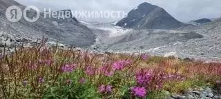 Участок в Усть-Коксинский район, посёлок Тюгурюк, Подгорный переулок ... - Фото 1