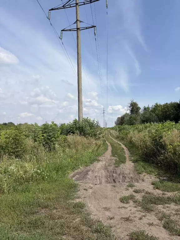 Участок 14 сот. (СНТ, ДНП) - Фото 1