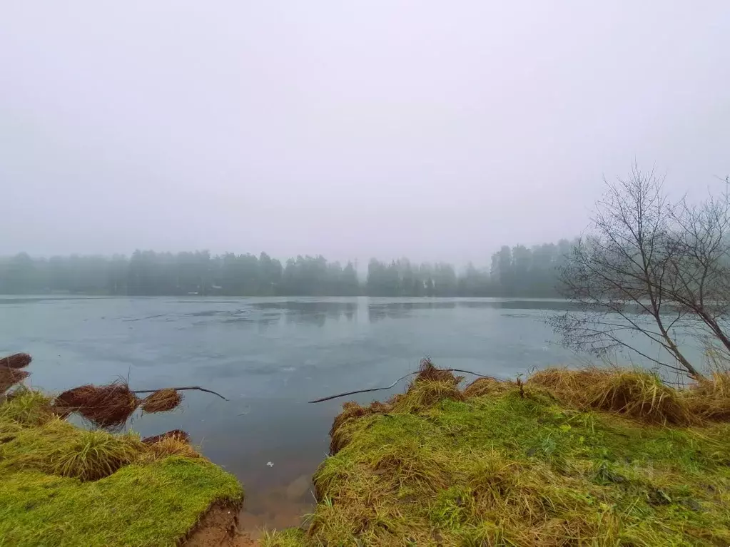 Участок в Ленинградская область, Гатчинский муниципальный округ, ... - Фото 1