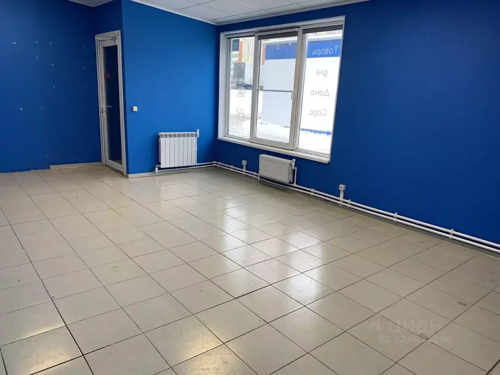 Офис в Псковская область, Псков Коммунальная ул., 64 (70 м) - Фото 1