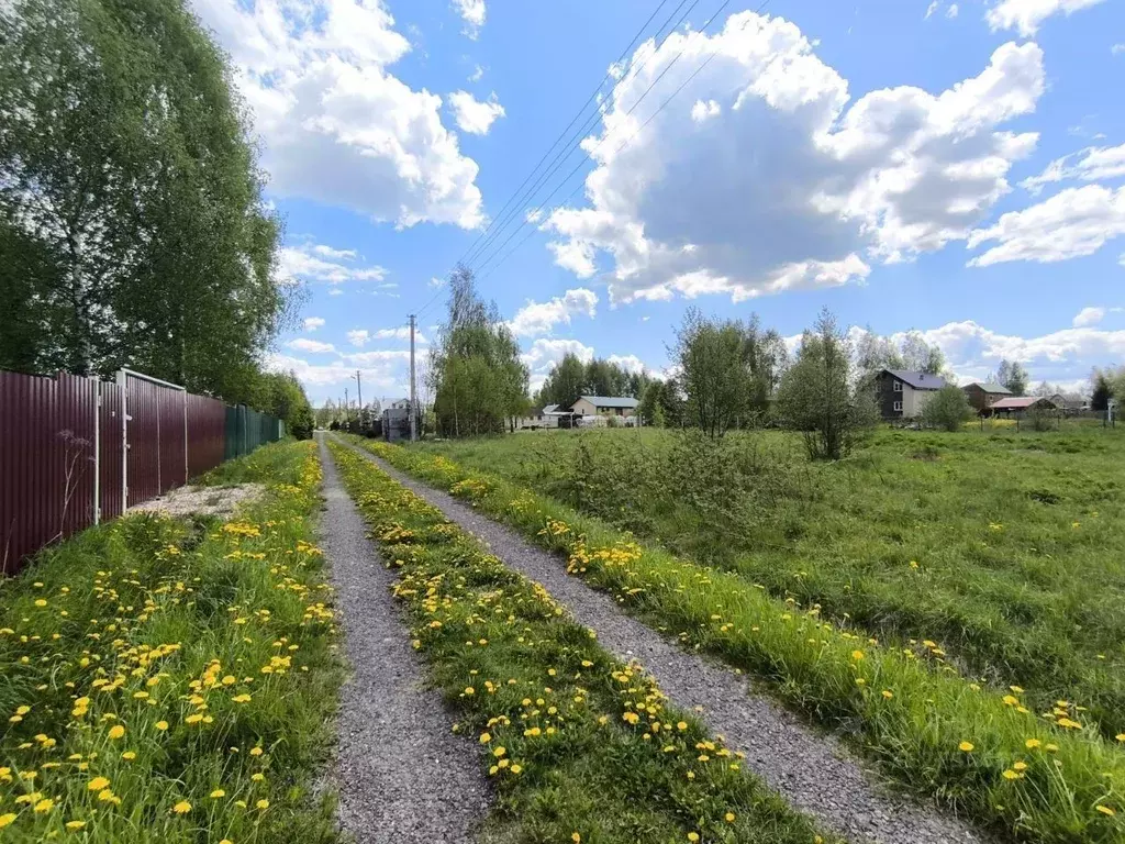 Участок в Московская область, Клин городской округ, д. Введенское, ... - Фото 1