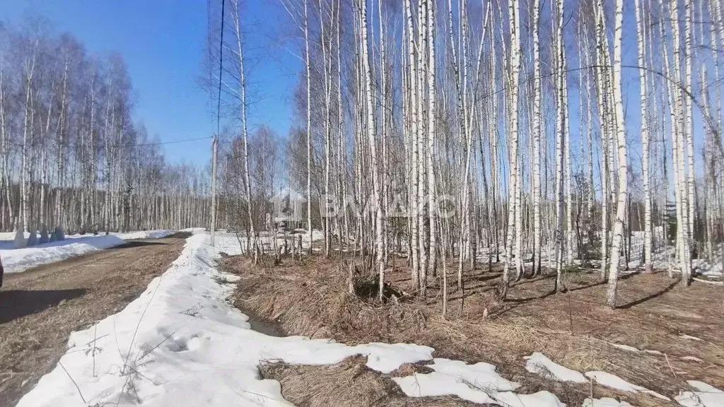 Участок в Владимирская область, Владимир ул. 2-я Сорокинская (10.62 ... - Фото 2