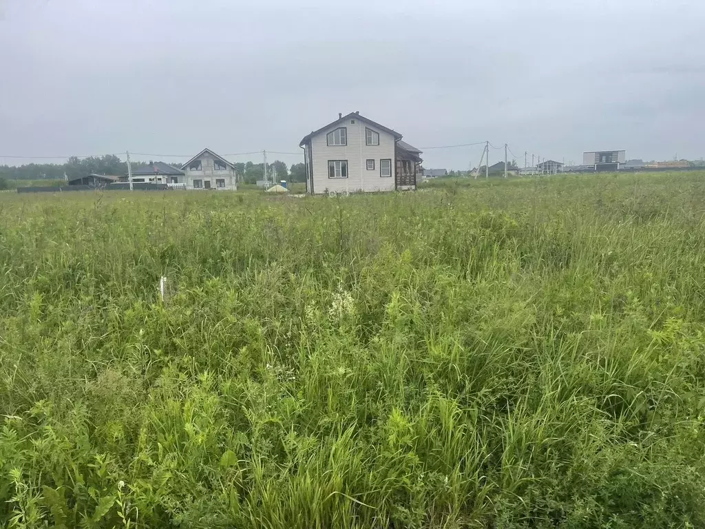 Участок в Московская область, Раменский муниципальный округ, с. ... - Фото 2