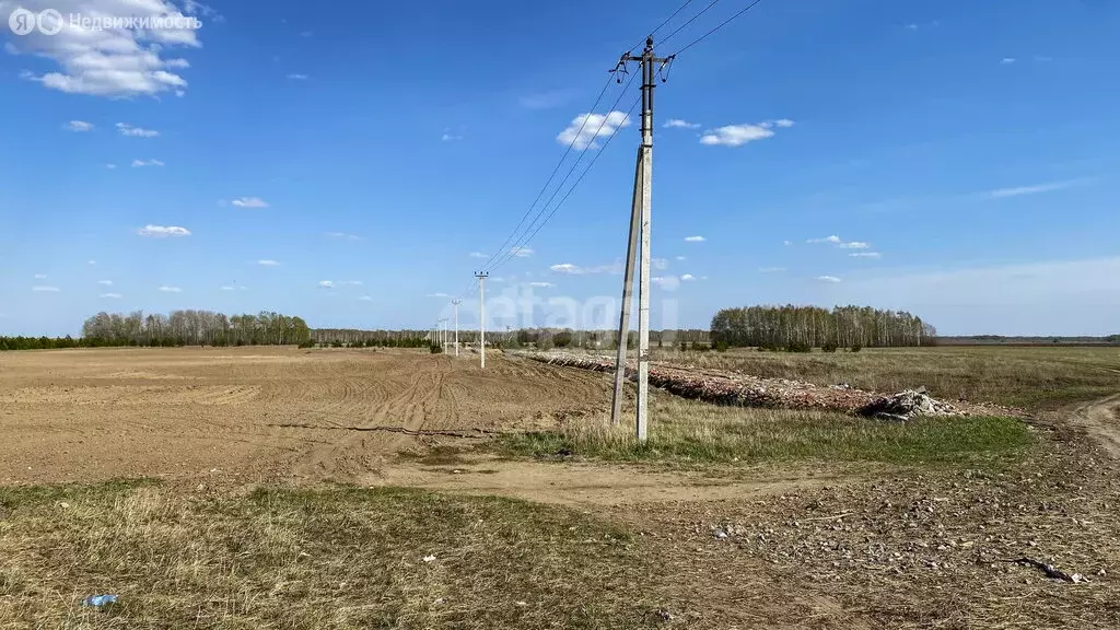 Участок в Кулаковское муниципальное образование, коттеджный посёлок ... - Фото 0