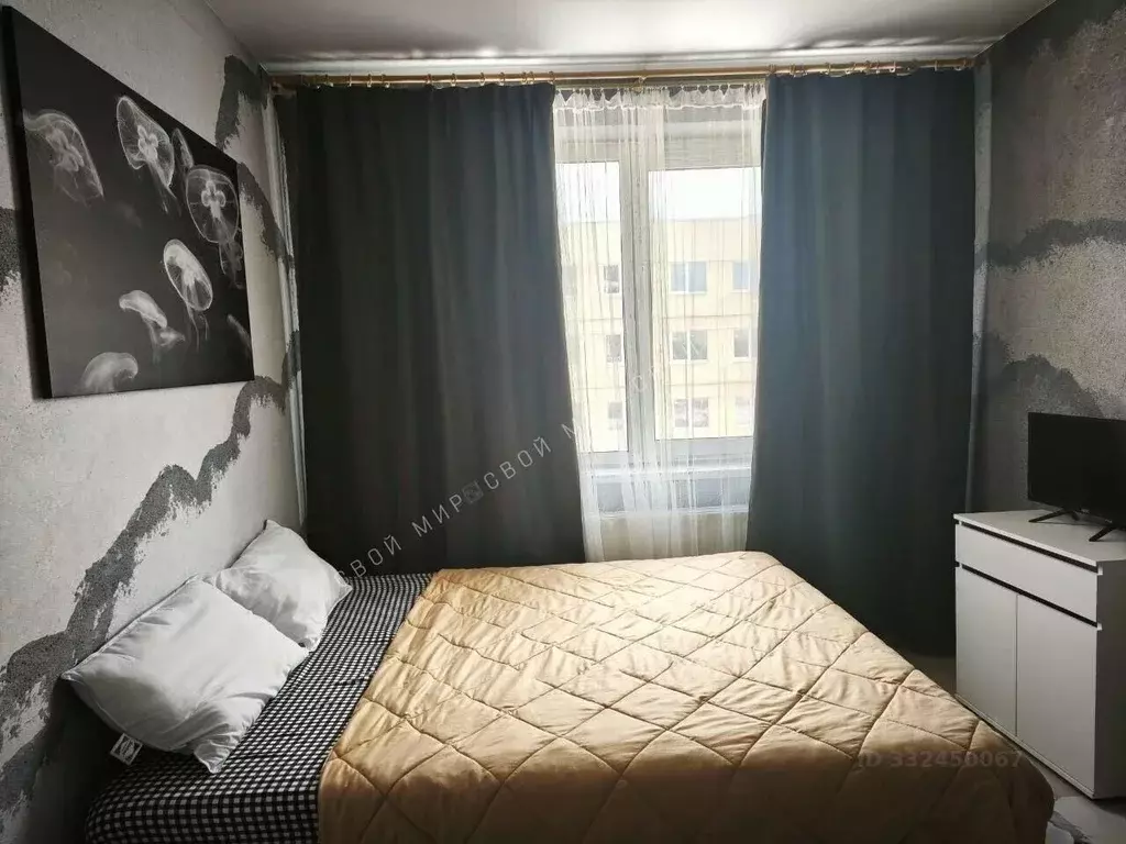 Студия Ленинградская область, Всеволожск Степной просп., 16к5 (20.4 м) - Фото 1