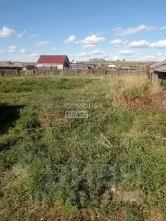 Участок в Иркутская область, Иркутский муниципальный округ, Озерное ... - Фото 1