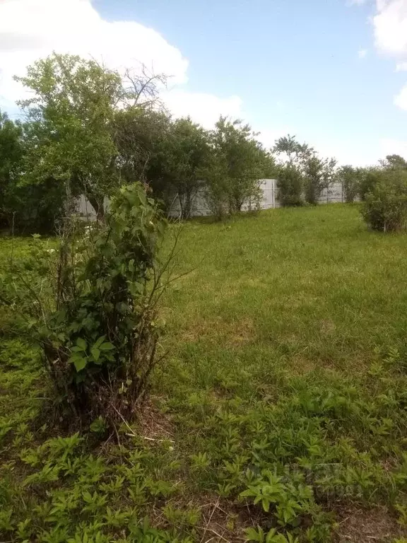 Участок в Калужская область, Дзержинский район, Дворцы с/пос, д. ... - Фото 2