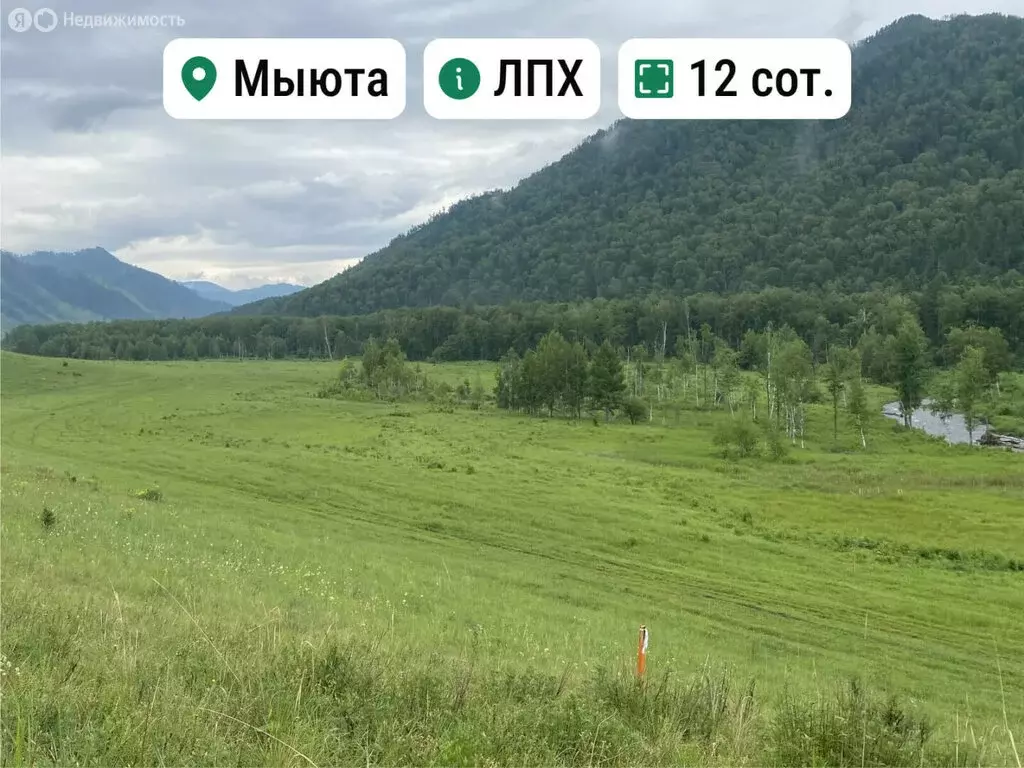 Участок в Шебалинский район, село Мыюта (12 м) - Фото 1