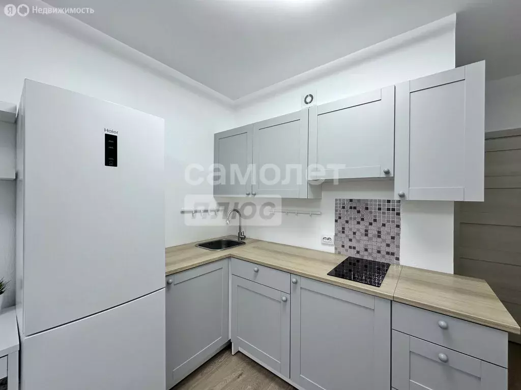 Квартира-студия: Санкт-Петербург, улица Лётчика Лихолетова, 14к2 (24.5 ... - Фото 0