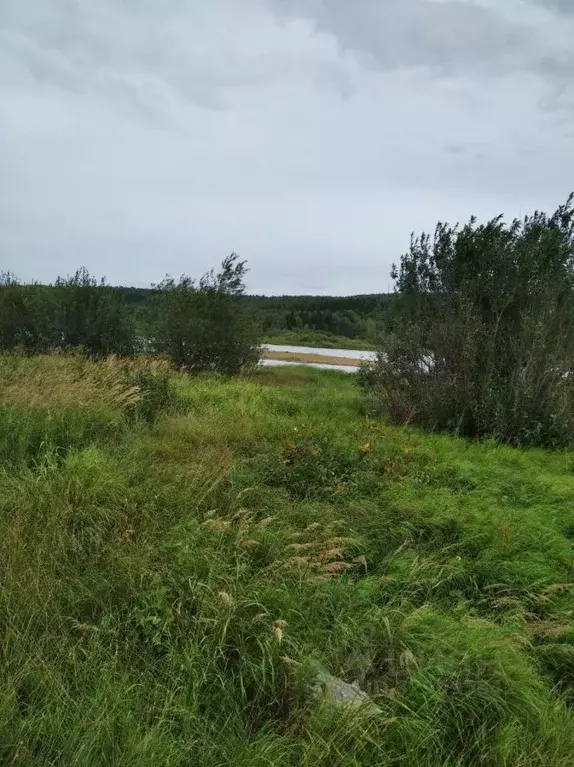 Участок в Пермский край, Ильинский муниципальный округ, с. Филатово  ... - Фото 1