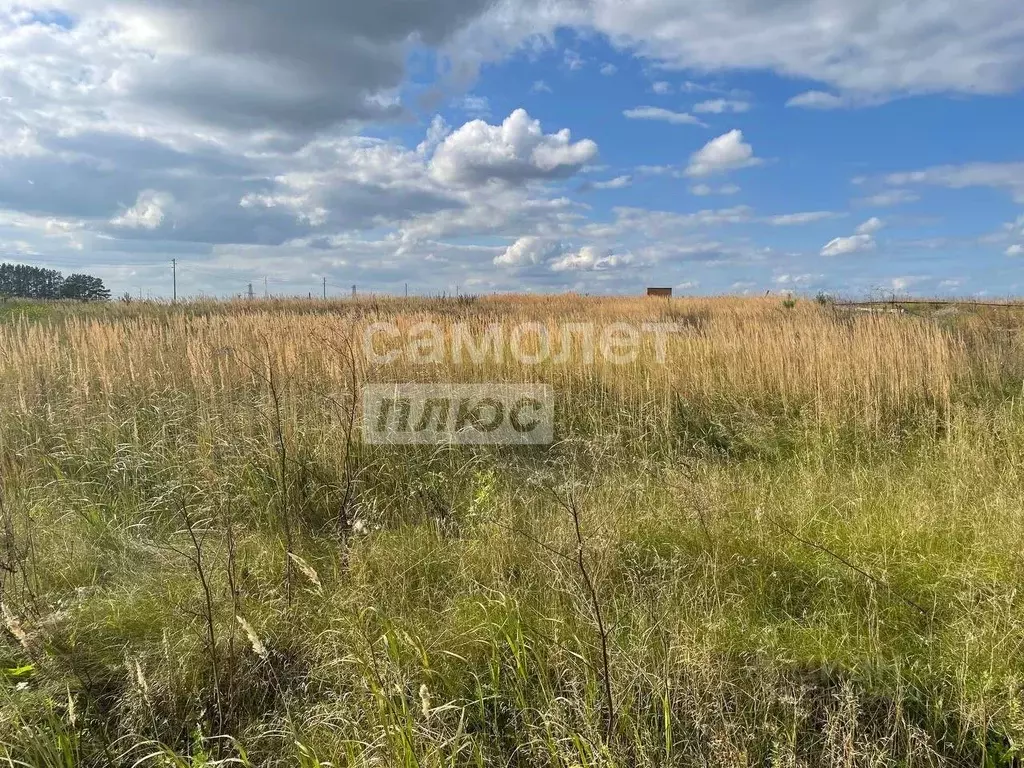 Участок в Тюменская область, Тюменский муниципальный округ, с. Борки  ... - Фото 1