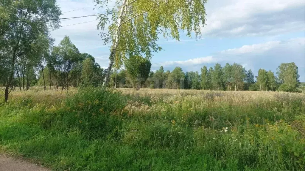 Участок в Калужская область, Мосальский район, Раменский с/пос, д. ... - Фото 2