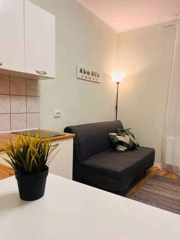 Студия Санкт-Петербург ул. Плесецкая, 10 (25.0 м) - Фото 2