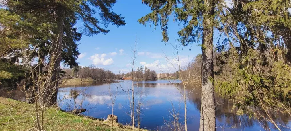 Дом в Московская область, Мытищи городской округ, с. Марфино ул. ... - Фото 2