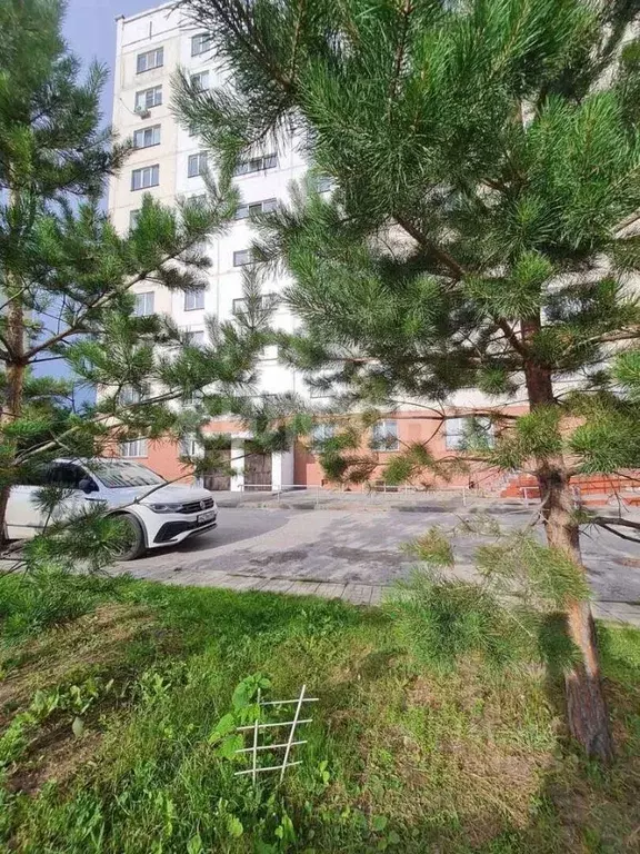 Студия Новосибирская область, Новосибирск ул. В. Высоцкого, 52/3 (35.0 ... - Фото 0