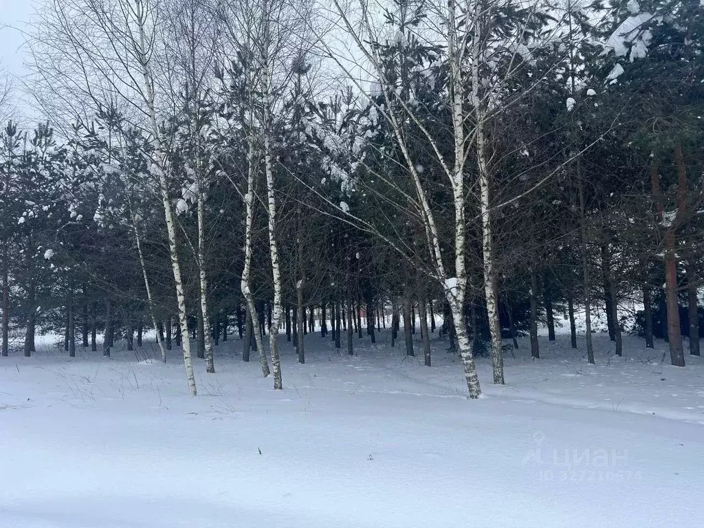 Участок в Московская область, Можайск Квартал Ямское Поле,  (11.81 ... - Фото 1